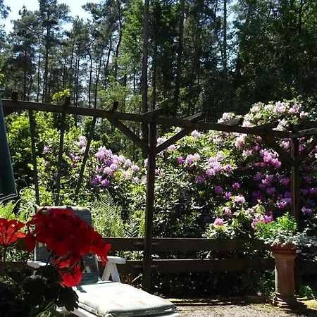 With 1 Bedroom Holiday home Hambuhren